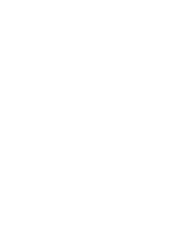 webflow icon