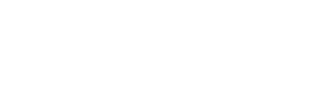 finsweet logo